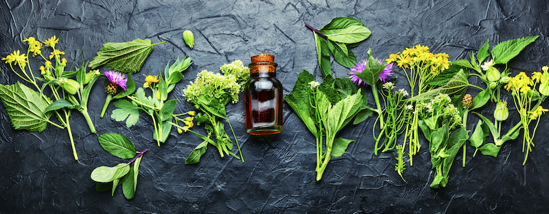 5 Can Eczema Be Treated Naturally by a Naturopath